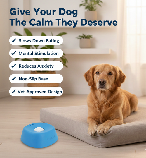 The Seryn™ Zen Pup Bowl