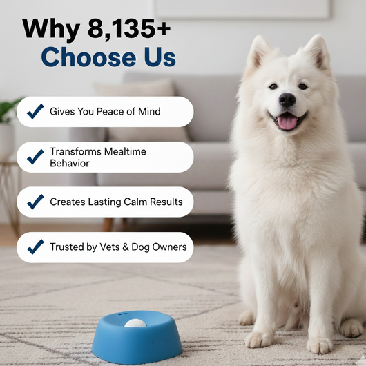 The Seryn™ Zen Pup Bowl