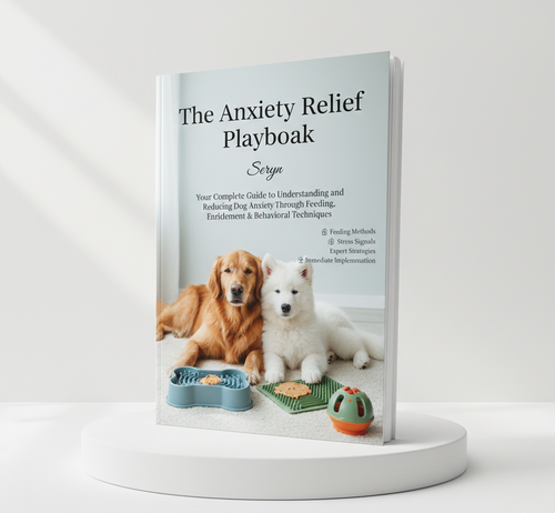The Seryn Anxiety Relief Playbook (E-Book)