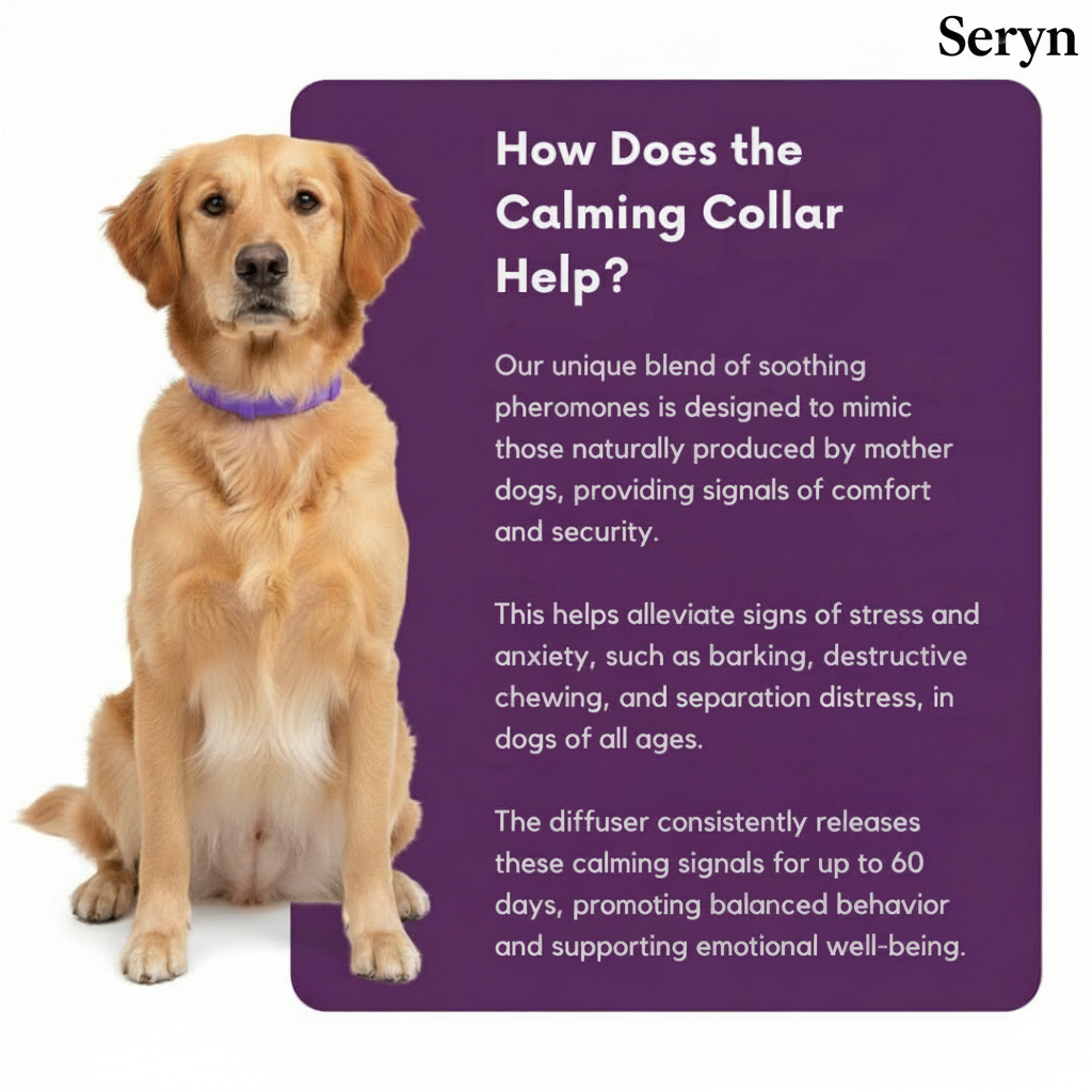 The Seryn Calm Collar