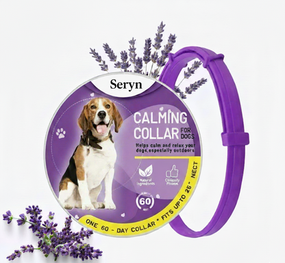The Seryn Calm Collar