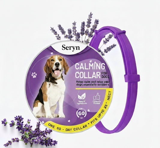 The Seryn Calm Collar