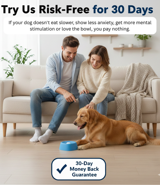 The Seryn™ Zen Pup Bowl